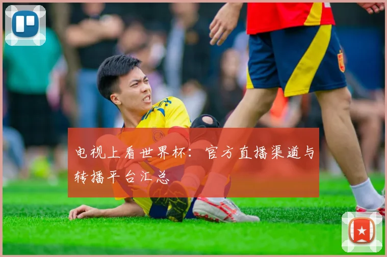 电视上看世界杯：官方直播渠道与转播平台汇总
