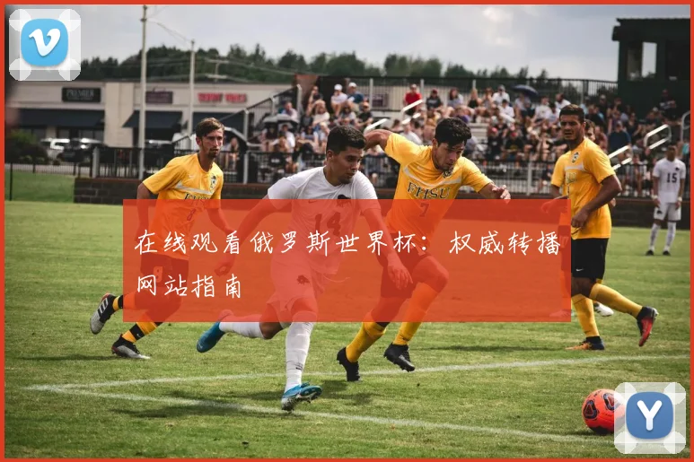 在线观看俄罗斯世界杯：权威转播网站指南